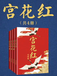 小说宫花红全四册免费阅读封面